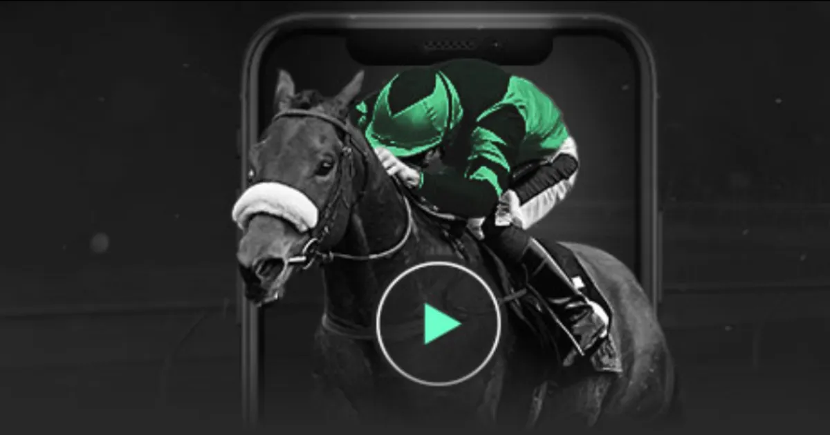 蓉城俱乐部,走进清华苏,世民书院,乐竞,LeJin,乐竞官网,乐竞体育官网,乐竞体育下载,乐竞APP