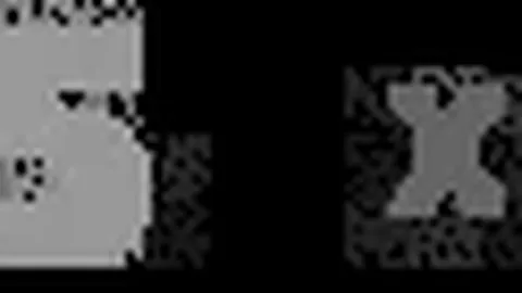 马刺续约比永博，签下十天短期第二份合同